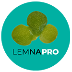 Lemna_Logo